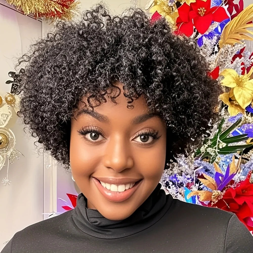 Human Hair Wig Natural Afro Kinky Curly