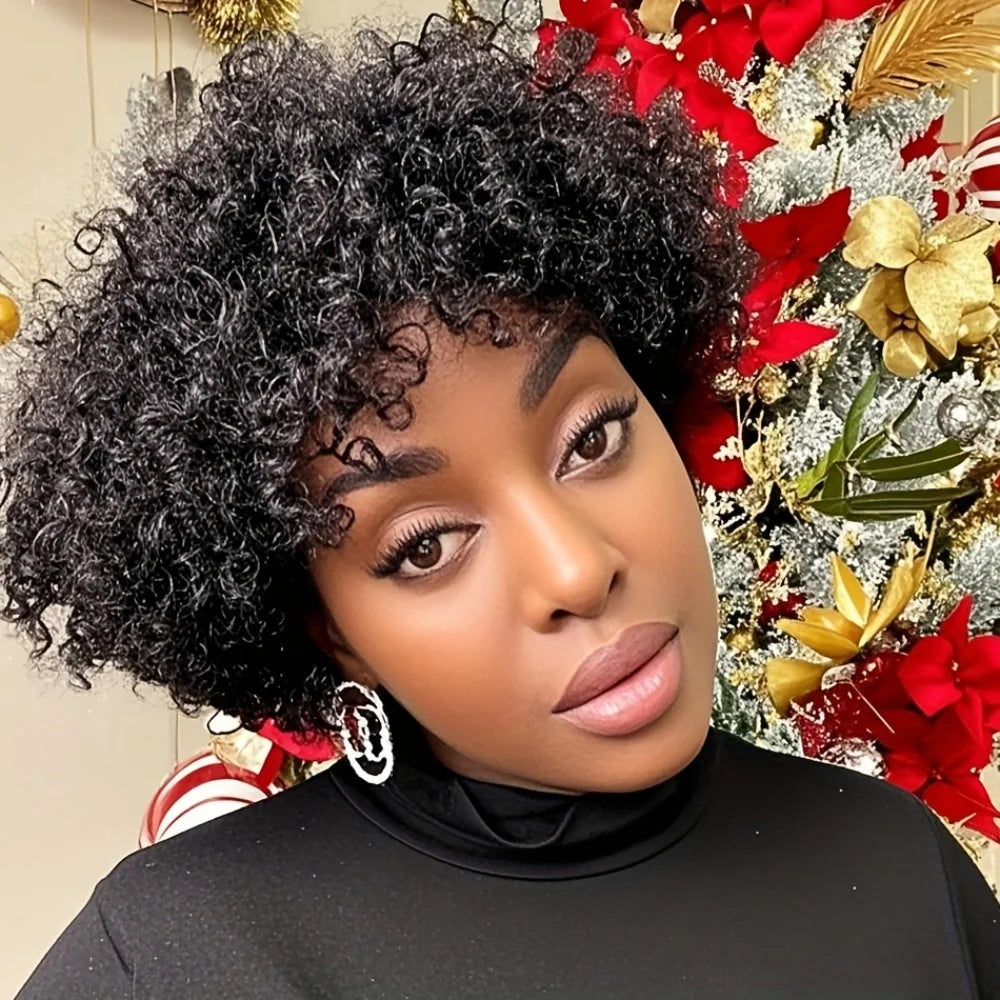 Human Hair Wig Natural Afro Kinky Curly