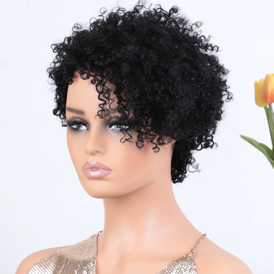 Peruvian Curly Human Hair Wigs