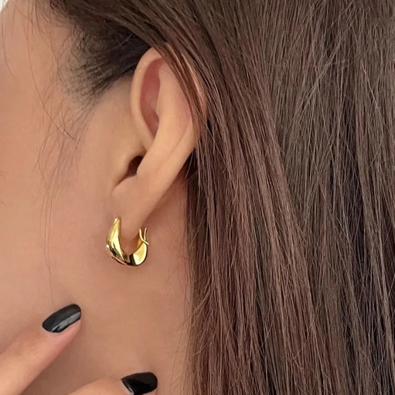 925 Sterling Silver Earrings