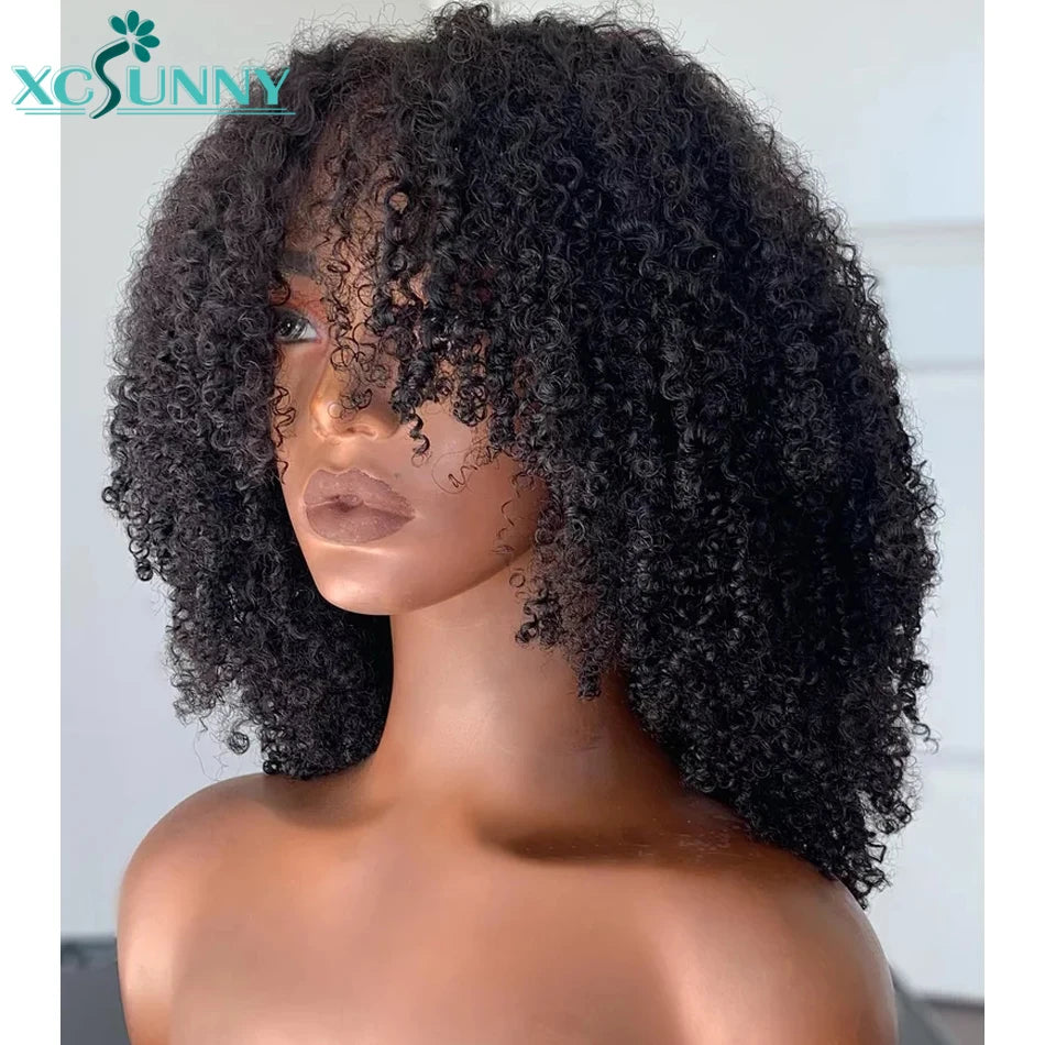 Kinky Curly Human Hair Wigs