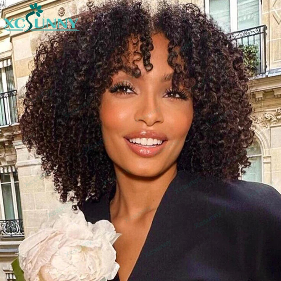 Kinky Curly Human Hair Wigs